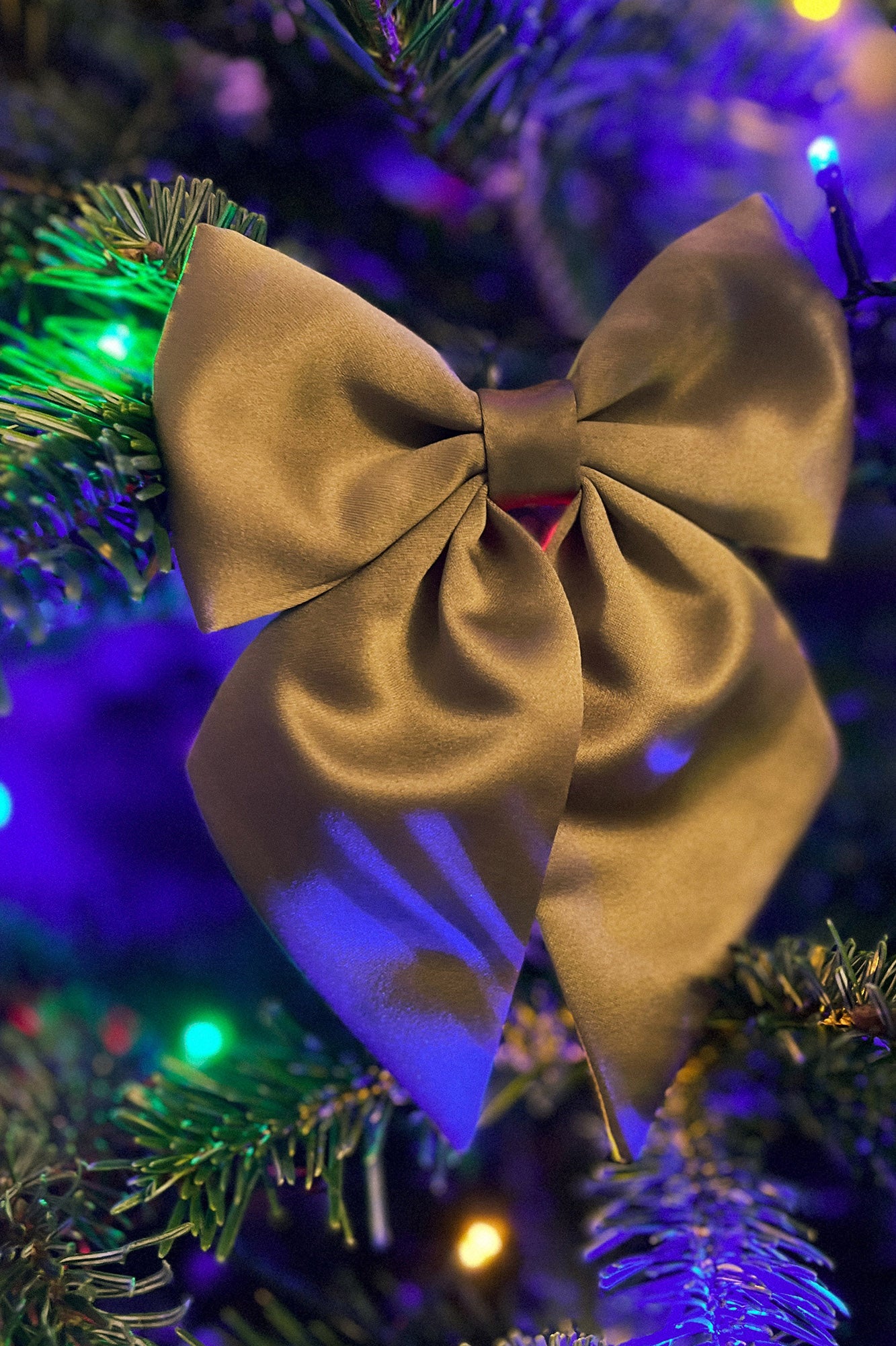 The Berkley Sewing Pattern