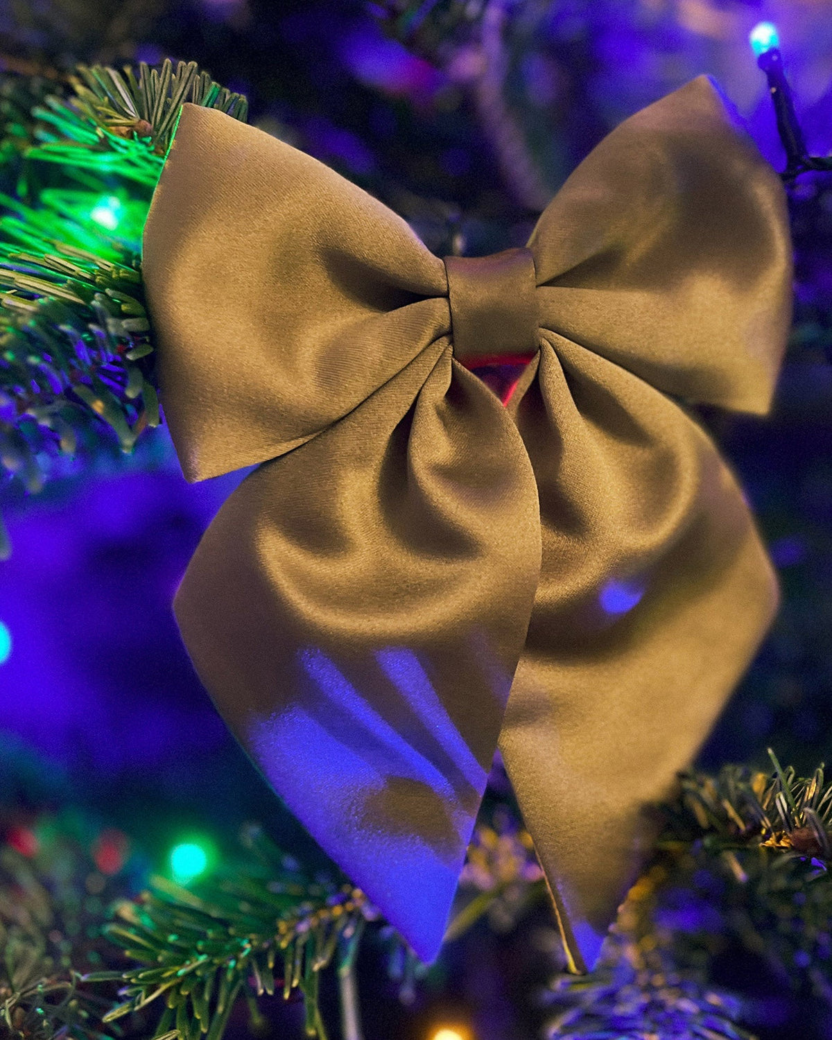 Gold bow ornament on a Christmas tree with colorful lights in the background
